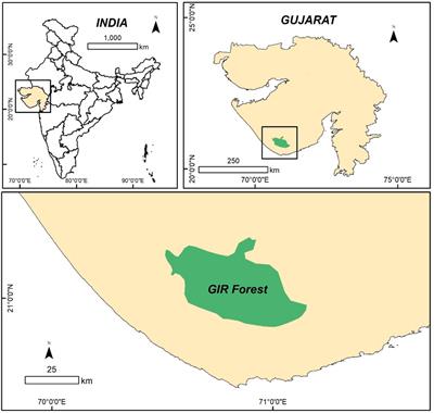 Phytonanofabrication of iron oxide particles from the Acacia jacquemontii plant and their potential application for the removal of brilliant green and Congo red dye from wastewater